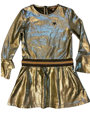 Metallic Long sleeve Dress  (sz 4)