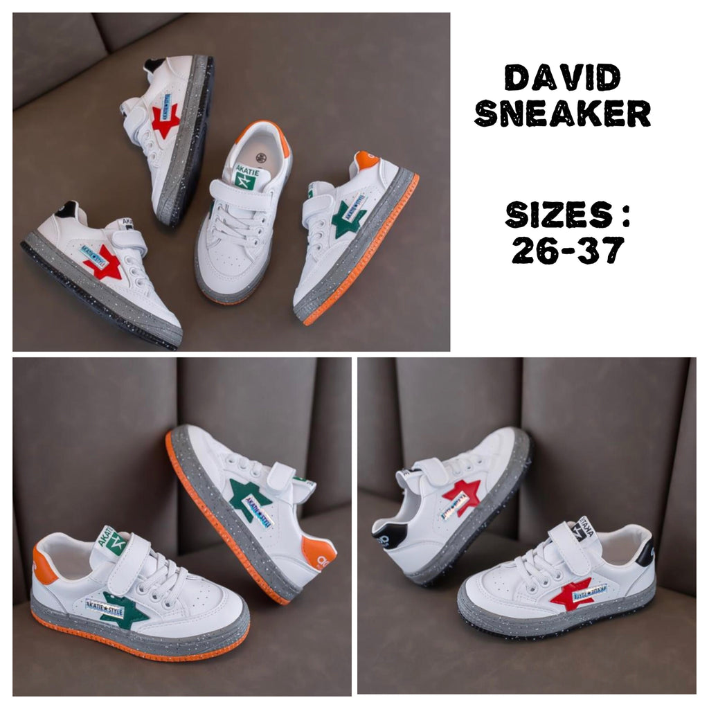 David Sneaker