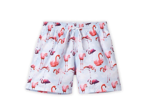 Flamingo Trunks